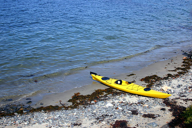 istock Yellow Sea Kayak 147258994