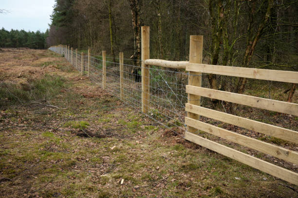 istock New forestry fencing 1472590987