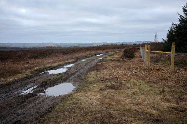 North Yorks Moors View across North York Moors with rough, moorland track and new forestry fencing at Newgate Bank. Helmsley walking point of view stock pictures, royalty-free photos & images