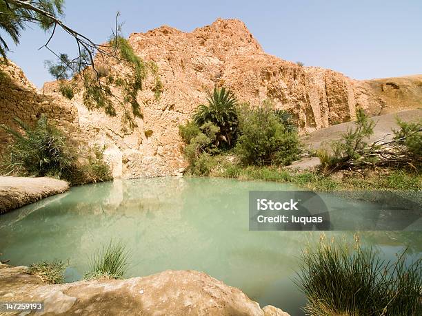 카일라쉬 굴절률은 사막 3 튀니지에 대한 스톡 사진 및 기타 이미지 - 튀니지, 오아시스, 강