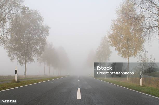 Foggy Road Stock Photo - Download Image Now - Accidents and Disasters, Avenue, Car