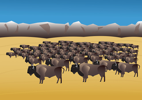 American Bisons in prairie with mountains in backgroundd 100% free from illustration