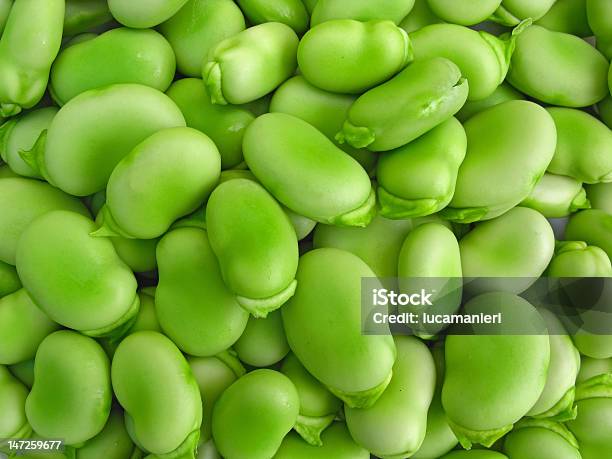Broad Beans Stock Photo - Download Image Now - Agriculture, Backgrounds, Broad Bean