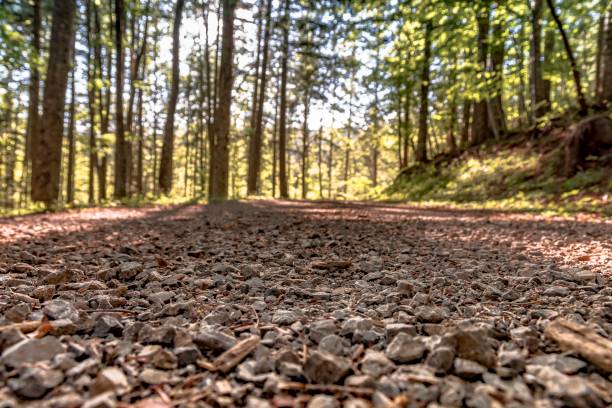 istock View of a road in the woods 1472597868