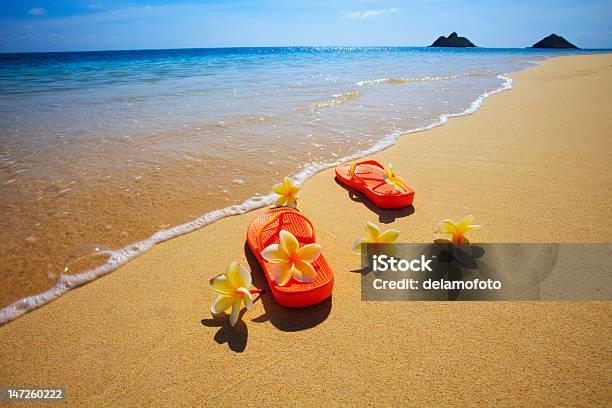 Photo libre de droit de Sandales Et Fleurs banque d'images et plus d'images libres de droit de Oahu - Oahu, Plage, Une seule fleur