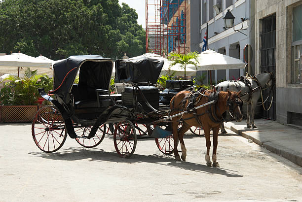 istock Horse drawn carriage in havana cuba 147260502
