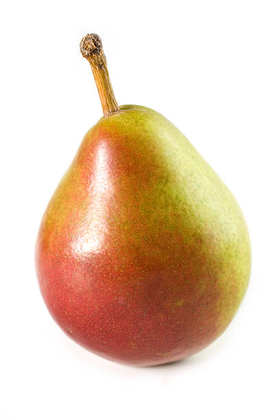 Seckel Pear stock photo