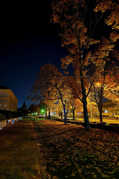 Beautiful footpath in the city at night.