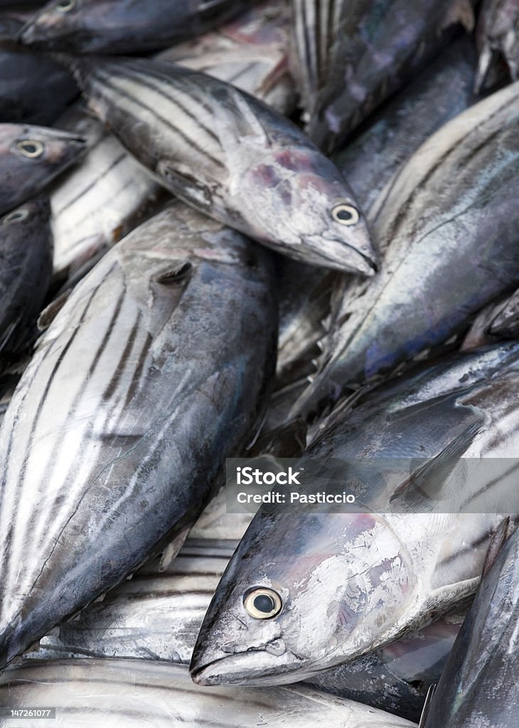 Detalhe de Tunafish em barco de pesca - Foto de stock de Atum - Animal royalty-free