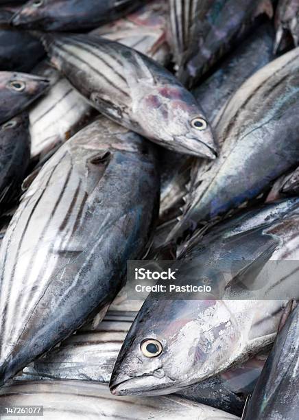 Foto de Detalhe De Tunafish Em Barco De Pesca e mais fotos de stock de Atum - Animal - Atum - Animal, Atum - Peixe, Cru