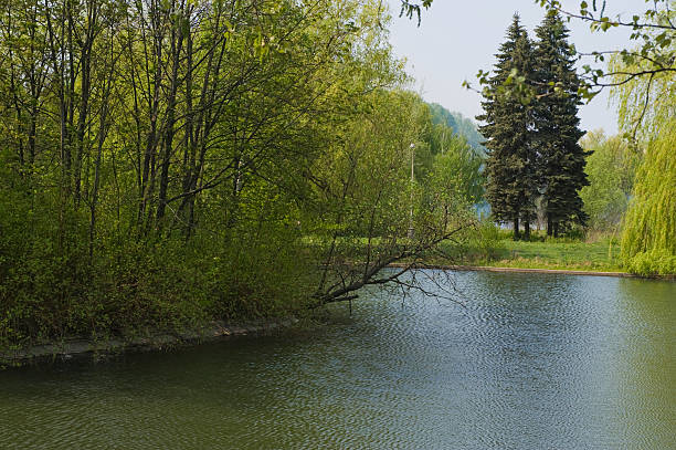 istock bank of reservoir 147261303
