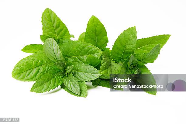 Photo libre de droit de Frais Vert Feuilles De Menthe Sur Fond Blanc banque d'images et plus d'images libres de droit de Aliment cru - Aliment cru, Couleur verte, En botte ou en grappe