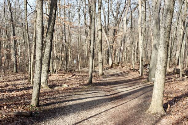 istock Hike in the Winter Woods 1472617608