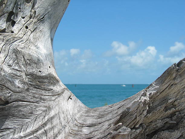 istock Fort Zachary Taylor Beach 147262066
