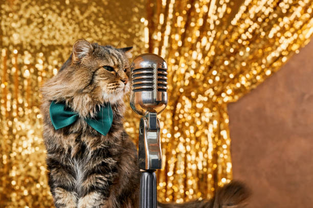 istock Charming curious cat as it leans in to inspect a vintage microphone. 1472624938