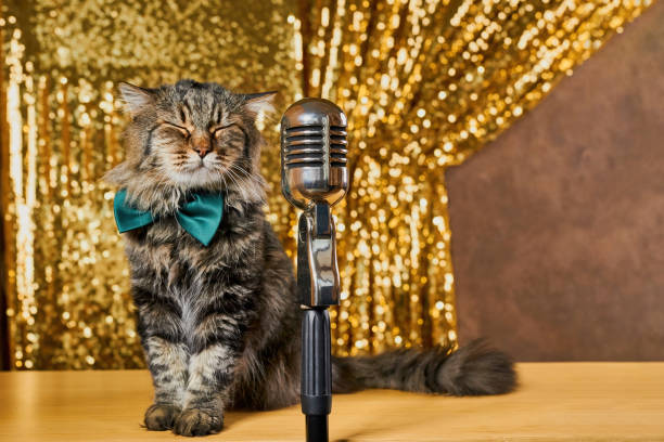 istock Charming curious cat as it leans in to inspect a vintage microphone. 1472624962