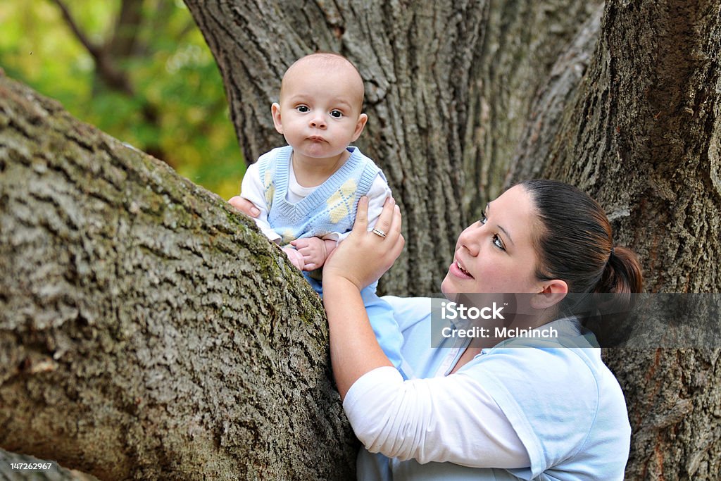 Árbol de bebé - Foto de stock de 0-11 meses libre de derechos