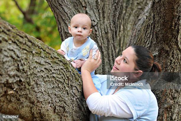 Árbol De Bebé Foto de stock y más banco de imágenes de 0-11 meses - 0-11 meses, Adulto, Agarrar