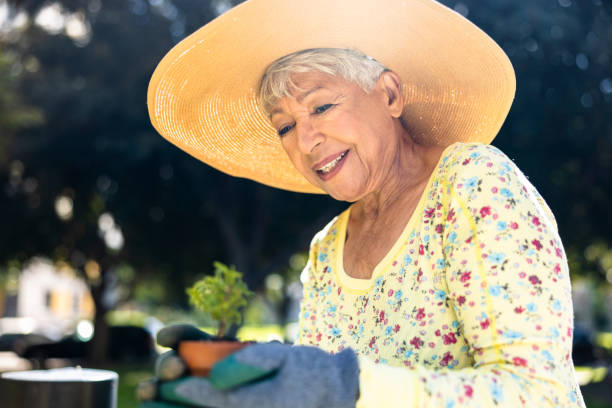 starsza kobieta rasy mieszanej ogrodnicza na podwórku - planting clothing gray hair human age zdjęcia i obrazy z banku zdjęć