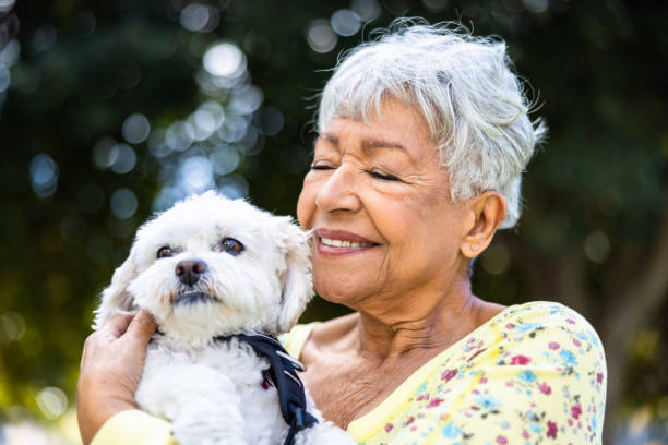 A mixed race senior woman holding her puppy outdoors stock photo