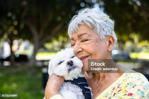 子犬を屋外で抱く混血の年配の女性