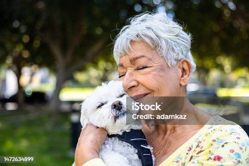 istock A mixed race senior woman holding her puppy outdoors 1472634899