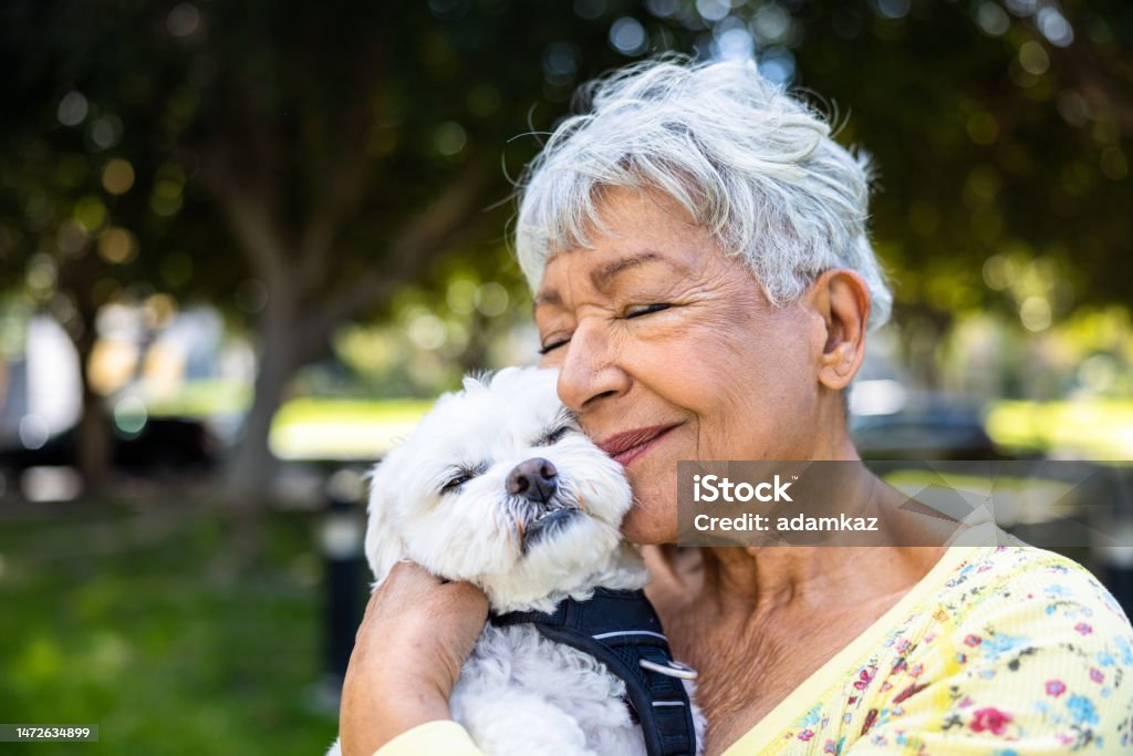A mixed race senior woman holding her puppy outdoors A beautiful multiracial senior woman Senior Adult Stock Photo