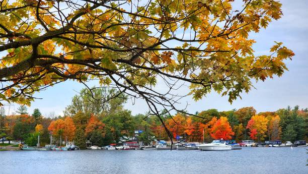 istock Shades of Nature 1472637462