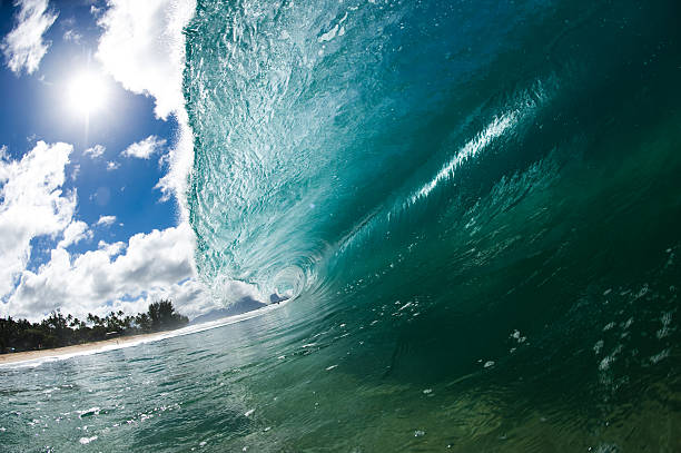 istock Wave of Perfection 147263748