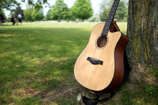 Classical guitar leans against a tree in a green public park on summer