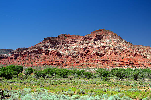 istock Zion National Park, USA 147263876