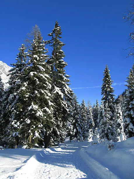 deep winter in tirol, austria