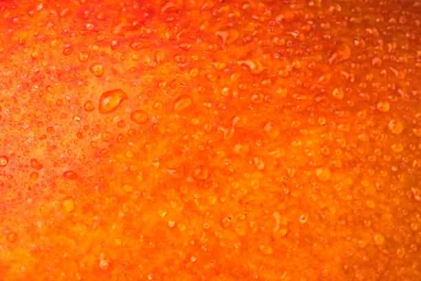 Water Droplets on Gradient Brown Transparent Plastic Cup of Iced Coffee