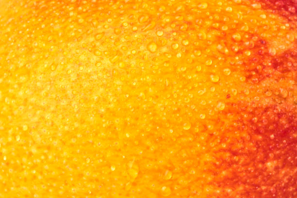 Detail shooting with ripe mango.