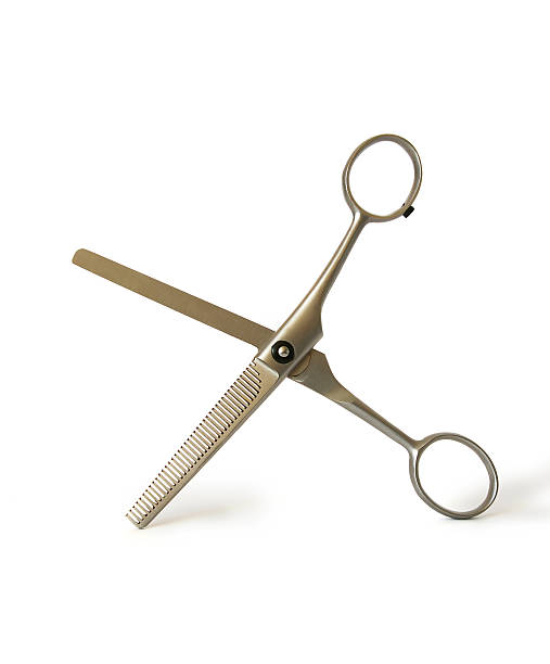 istock Professional haircutting scissors 147264204