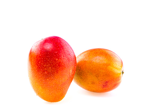Mango fruits with white background.