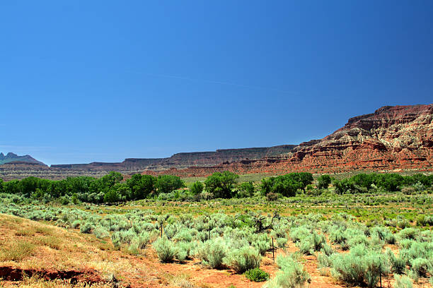 istock Zion National Park, USA 147264242