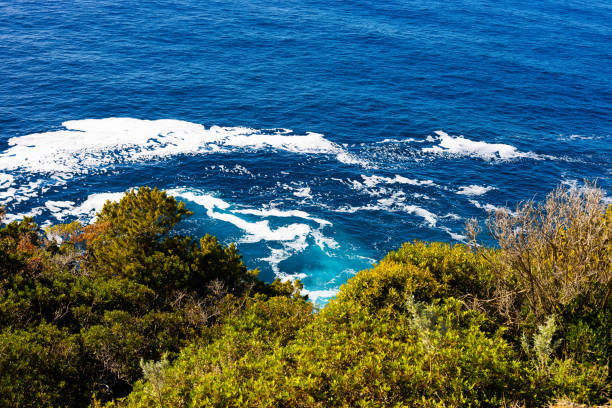 Natural beauties for sea Tuscany coast mediterranean sea color blue and green