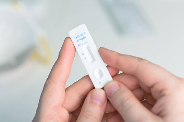 istock Corona virus antigen fast test. Lab card kit test for COVID-19. 1472645127