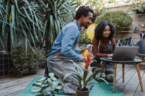 istock Young couple taking care plants in the backyard 1472646259