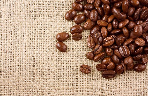 Coffee beans on a jute background stock photo