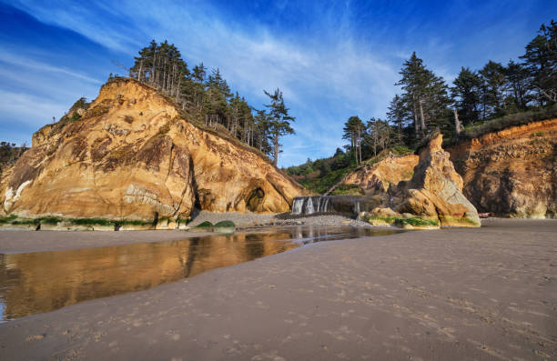 Caves and waterfall at Hug Point