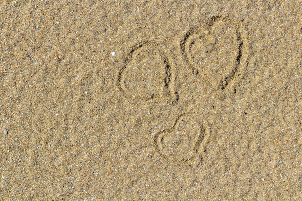 istock Heart drawn in the sand. Beach background. Top view 1472650530