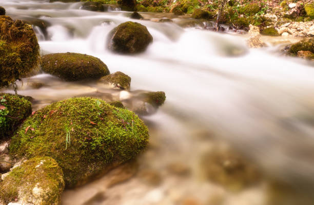 beautiful mountain stream in the Karkonosze mountains