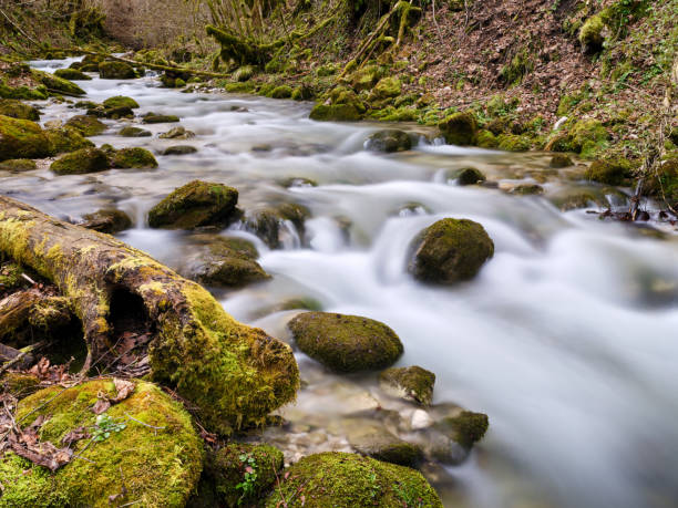 Mountain river. Tranquil scenery with waterfall in the middle of forest