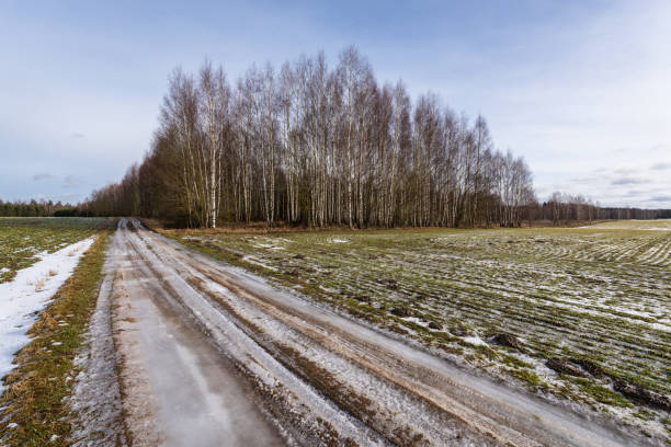 Country road in winter landscape