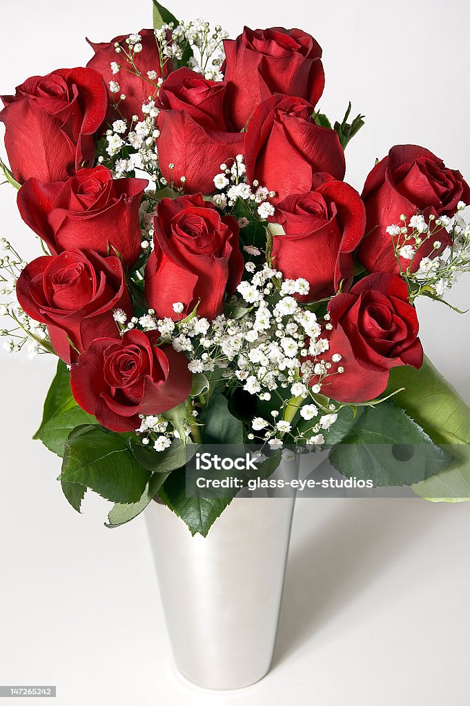 Bouquet of A Dozen Red Roses in Flower Vase Vertical Photograph of a Valentine's Day Bouquet of a Dozen Red Roses with Baby's Breath against a White Background Bouquet Stock Photo