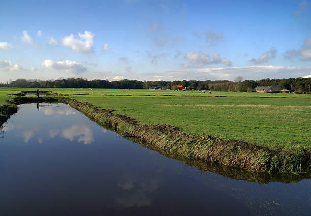 istock Dutch scenery, ditch in the polder 147265252
