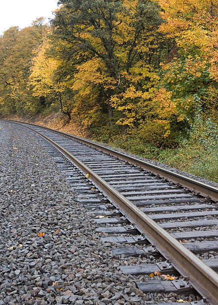 Railroad tracks through autumn trees stock photo