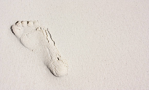 One footprint on sand of a beautiful beach stock photo
